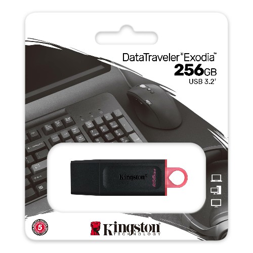 USB 3.2  256GB  Kingston  DataTraveler Exodia  чёрный/розовый