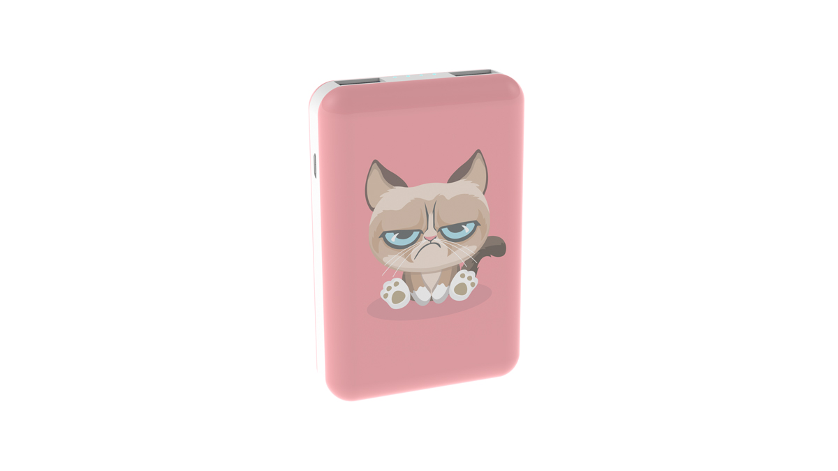 Power bank RITMIX RPB-10007 Grumpy Cat, 10000 Mah, выход 2xUSB 5В 2,1А max, LED индикация.Вход: micr