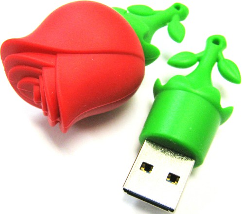 USB  32GB  Smart Buy Wild series  Роза