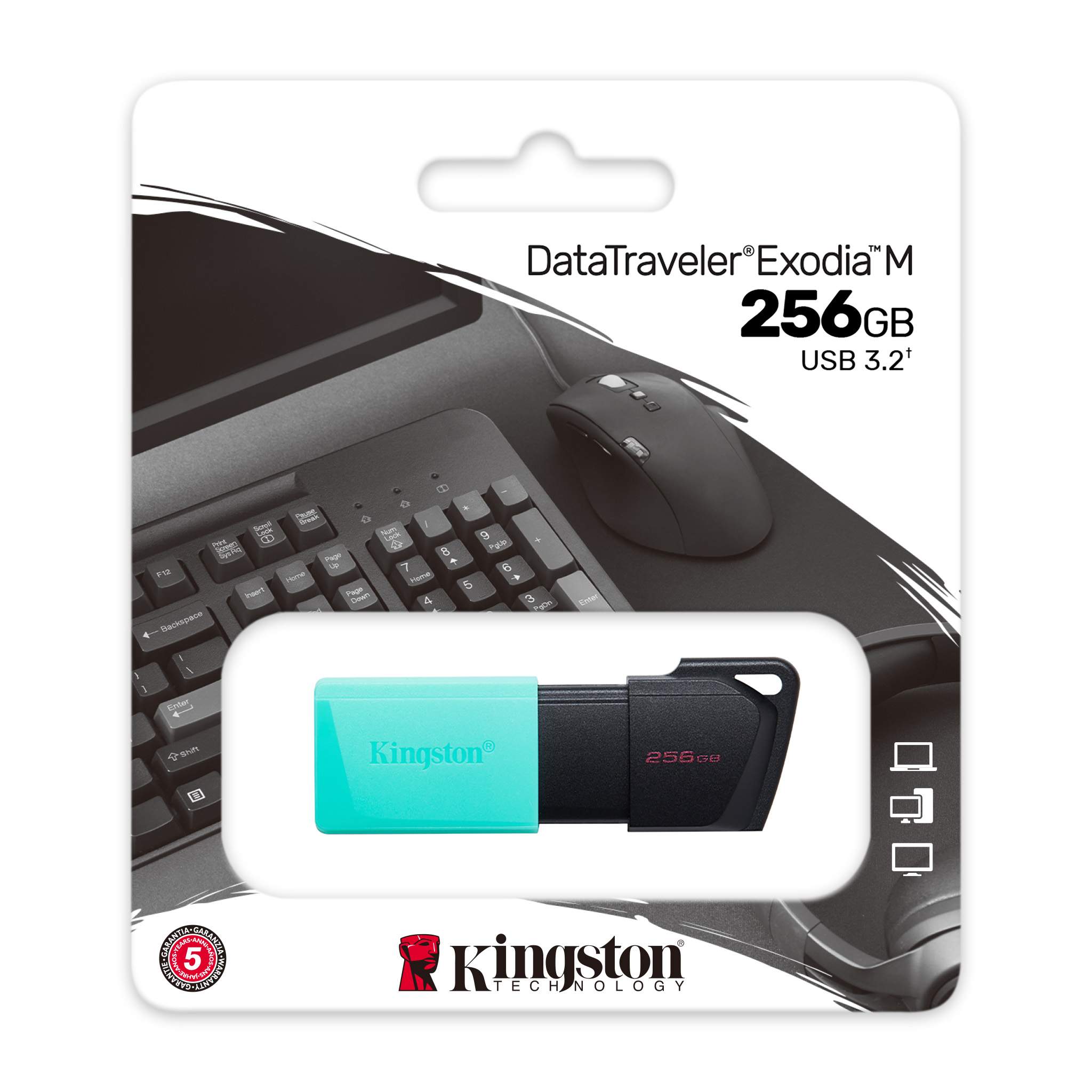 USB 3.2  256GB  Kingston  DataTraveler Exodia M  чёрный/голубой