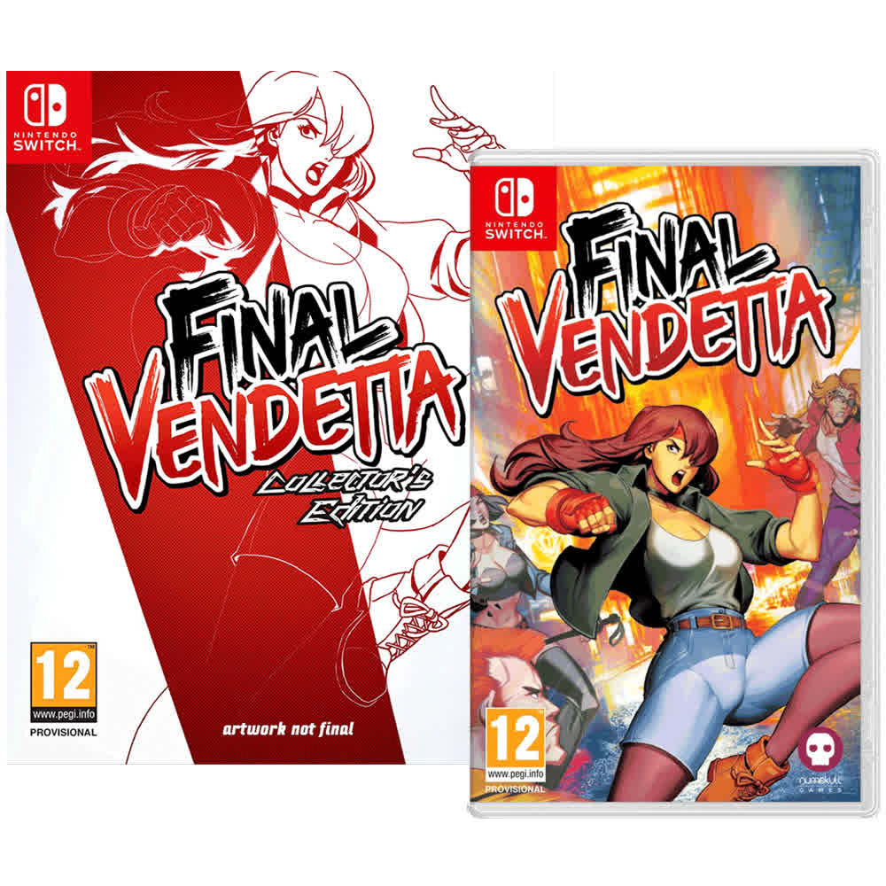 Final Vendetta - Collector's Edition [Nintendo Switch, английская версия]