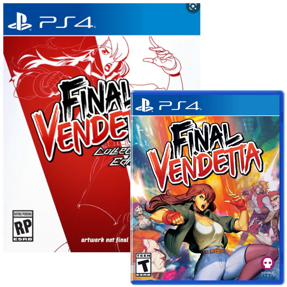 Final Vendetta - Collector's Edition [PS4, английская версия]